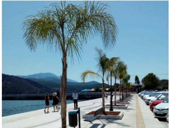 Elektra'S Apartment Central With Parking Argostoli  Exteriér fotografie